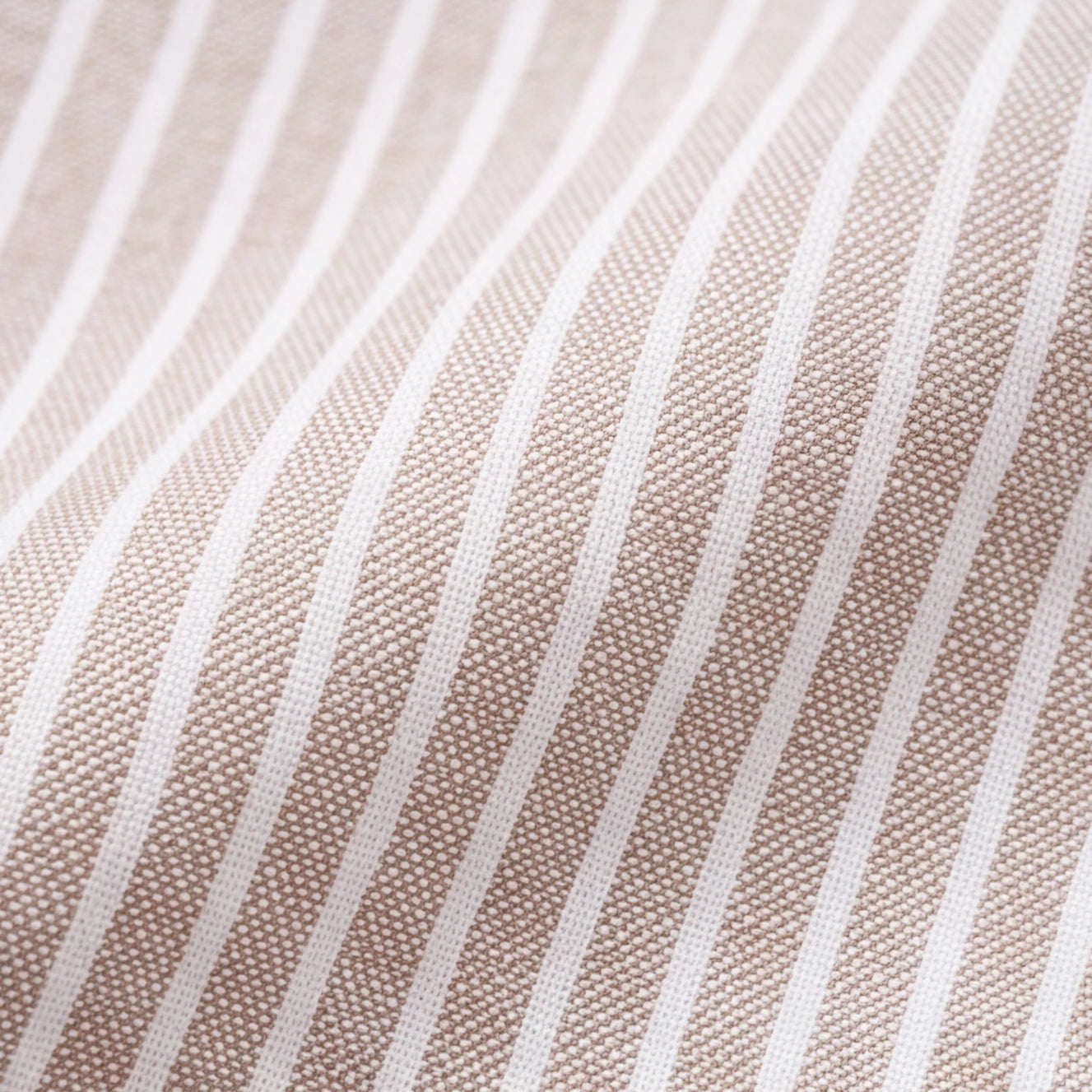 Oxford Button Down Shirt