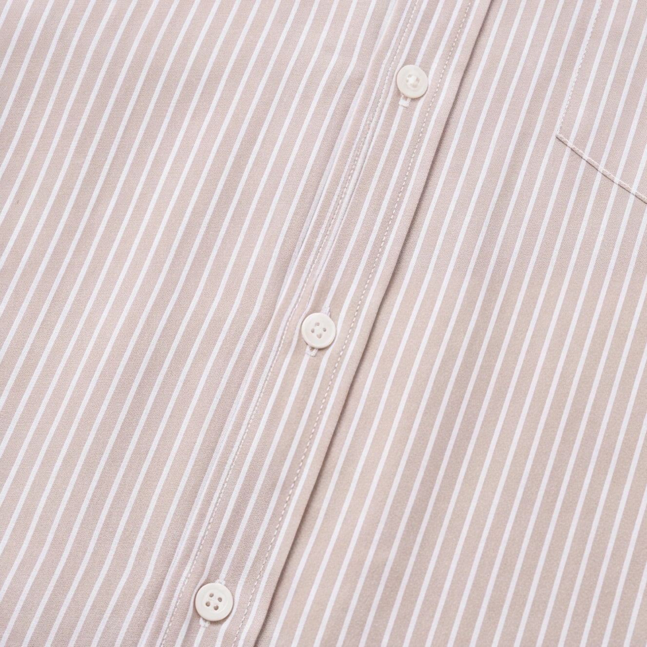 Oxford Button Down Shirt